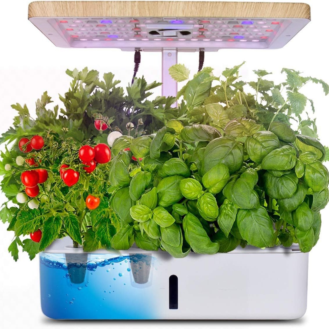 厂家智能水培蔬菜花卉种植机 全光谱植物生长灯微景观 亚马逊优选