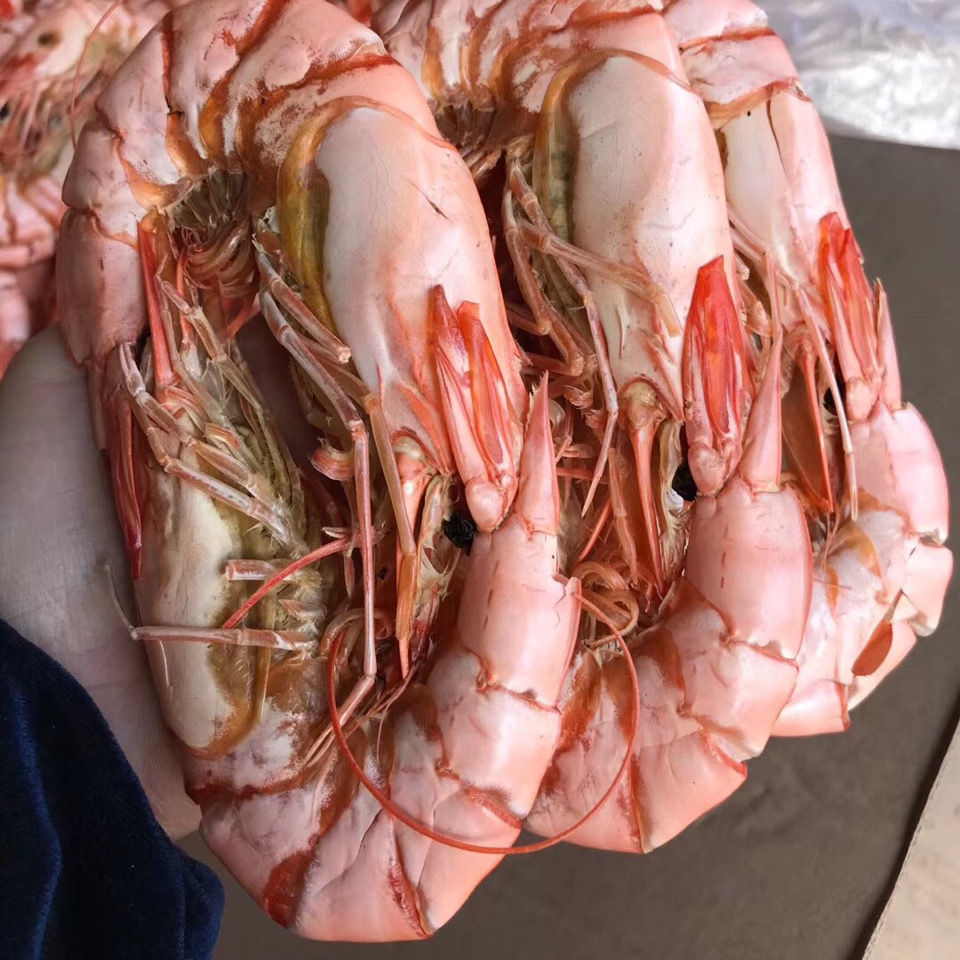 东山岛九节虾干斑节虾干即食淡干天然无沙碳烤虾干对虾干厂家直销