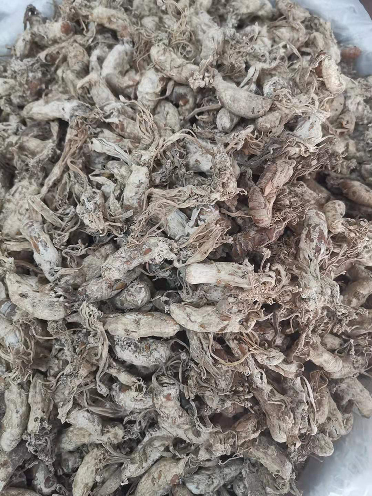 亳鑫荣 金蝉花500g一斤2021新货大虫草山农一手货源蝉蛹草知了花