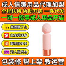 虞姬USB迷你震动棒女用器具情趣成人用品代理加盟开网店厂家货源