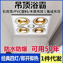 浴霸照明排气扇一体灯暖式换气扇暖灯集成吊顶嵌入式浴霸厕所专用