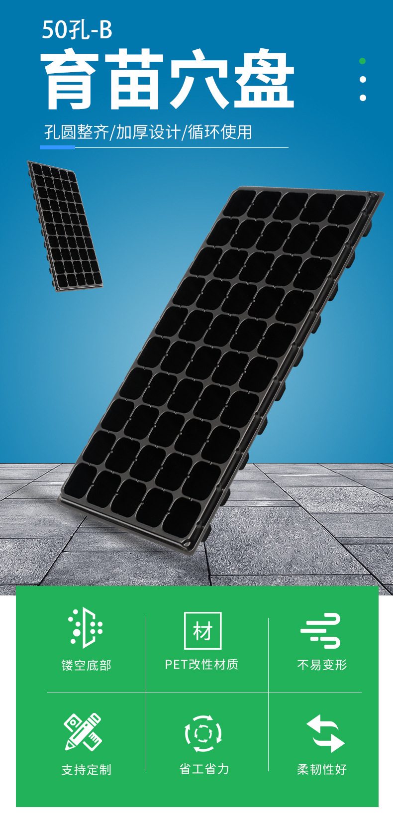 现货供应50孔-b育苗穴盘 家庭园艺蔬菜培育盘 工程苗圃育苗盘批发