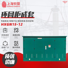 环网柜成套HXGN15-12六氟化硫开闭所KYN28电缆分支箱固定式充气柜