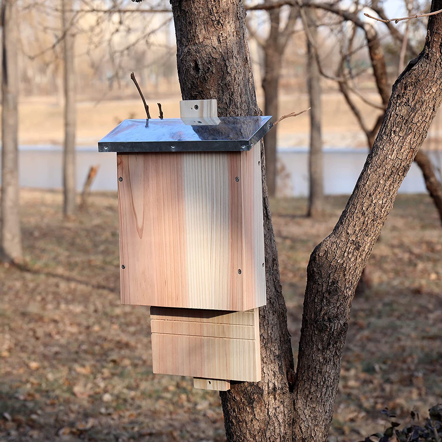 曹县畅销 户外木制蝙蝠窝杉木原色松木蝙蝠屋宠物房子木质工艺品