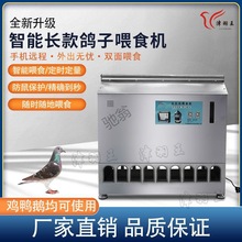 G厄津羽王赛鸽子用品用具自动喂食器不锈钢信鸽全自动定时定量下