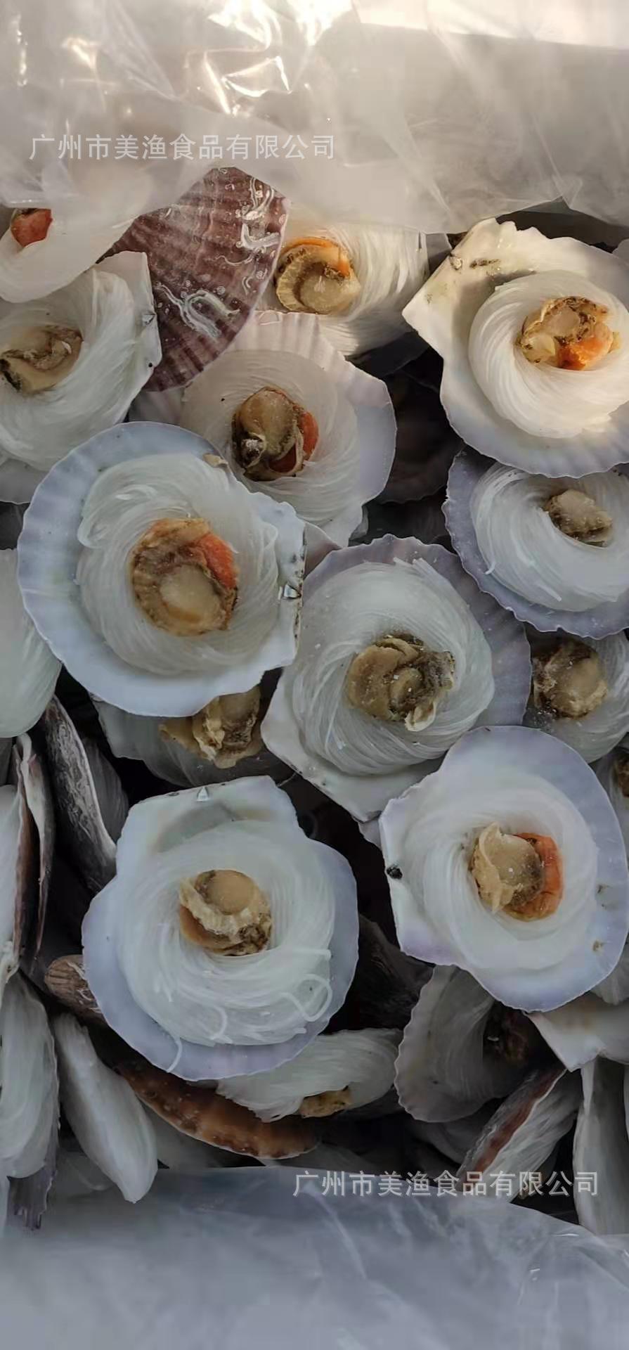 8-10cm粉丝扇贝夏夷扇贝自助餐用粉丝半壳扇贝100个/箱大约5kg/件