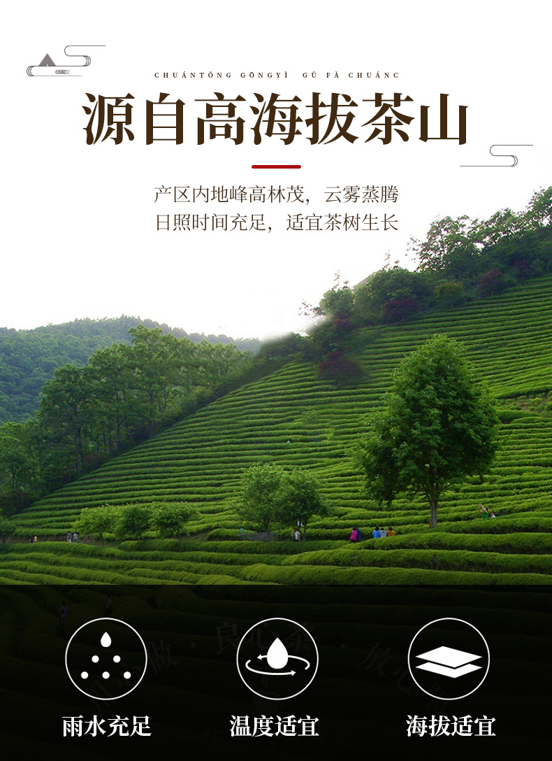 绿茶2022新茶叶春茶庐山云雾茶江西特产高山浓香罐装礼盒装批发