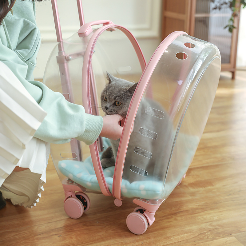 Outdoor Portable Space Capsule Pet Trolley Bag Cat Backpack Large Capacity Backpack Transparent Cat School Bag Luggage and Suitcase