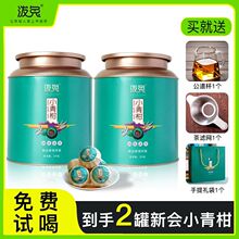 泼兔正宗新会小青柑新茶叶陈皮普洱茶云南熟普小青桔小柑橘罐装