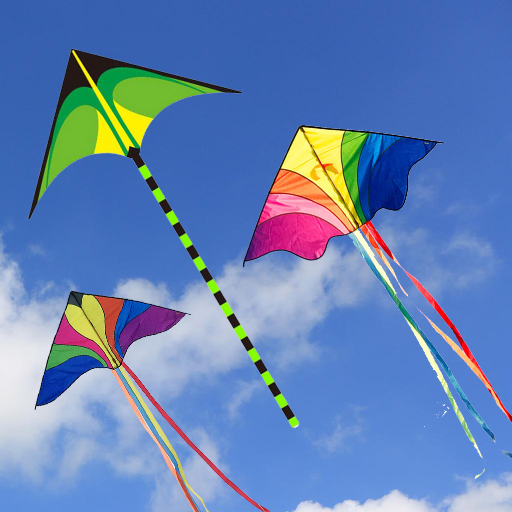 6米宽2米宽大草原风筝七彩鸟飞天儿童卡通成人风筝简单易飞批发