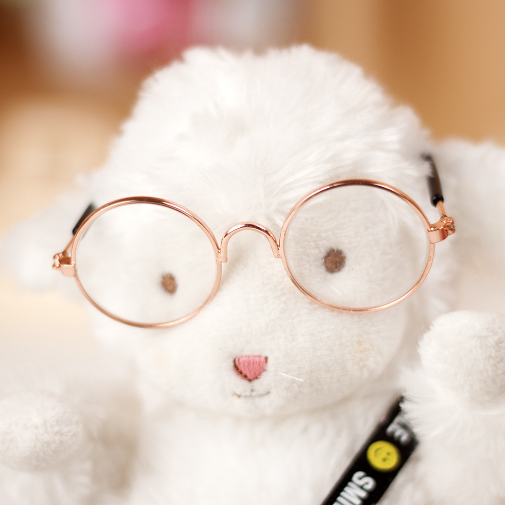 抖音小羊公仔配饰眼镜相机套装毕业季小坐羊玩偶衣服17厘米学院风