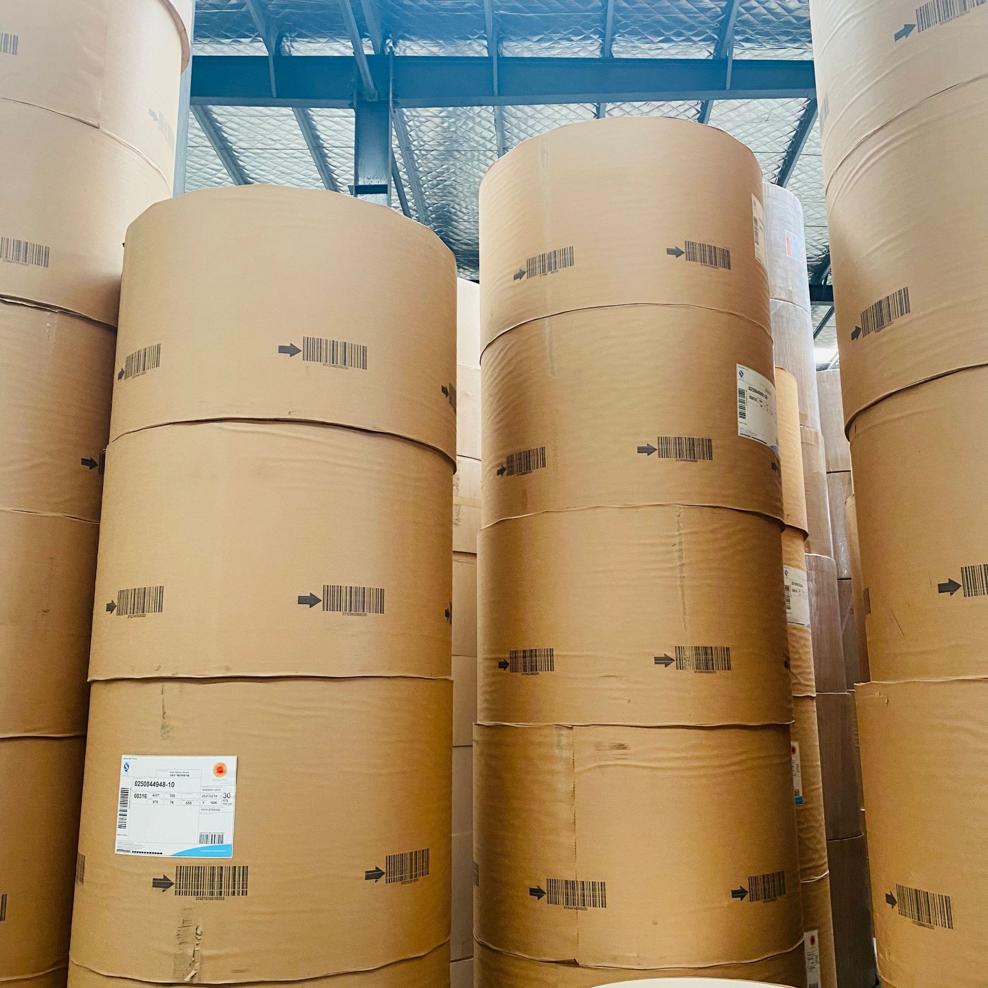 单双面口杯淋膜纸150-300g可定制淋膜克重