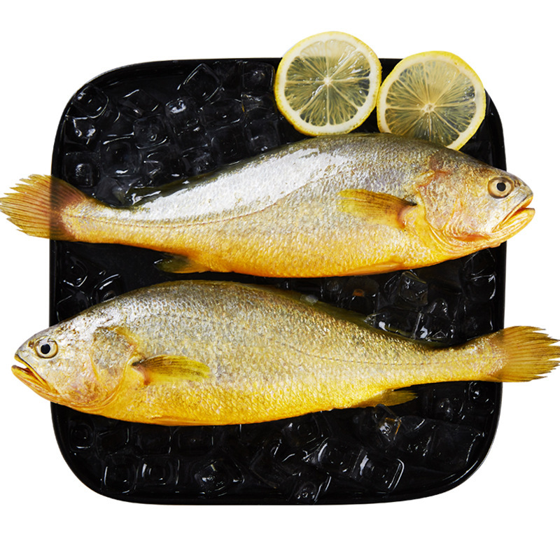 黄花鱼冷冻大小黄鱼深海新鲜大黄鱼冷冻水产厂家批发现货400g