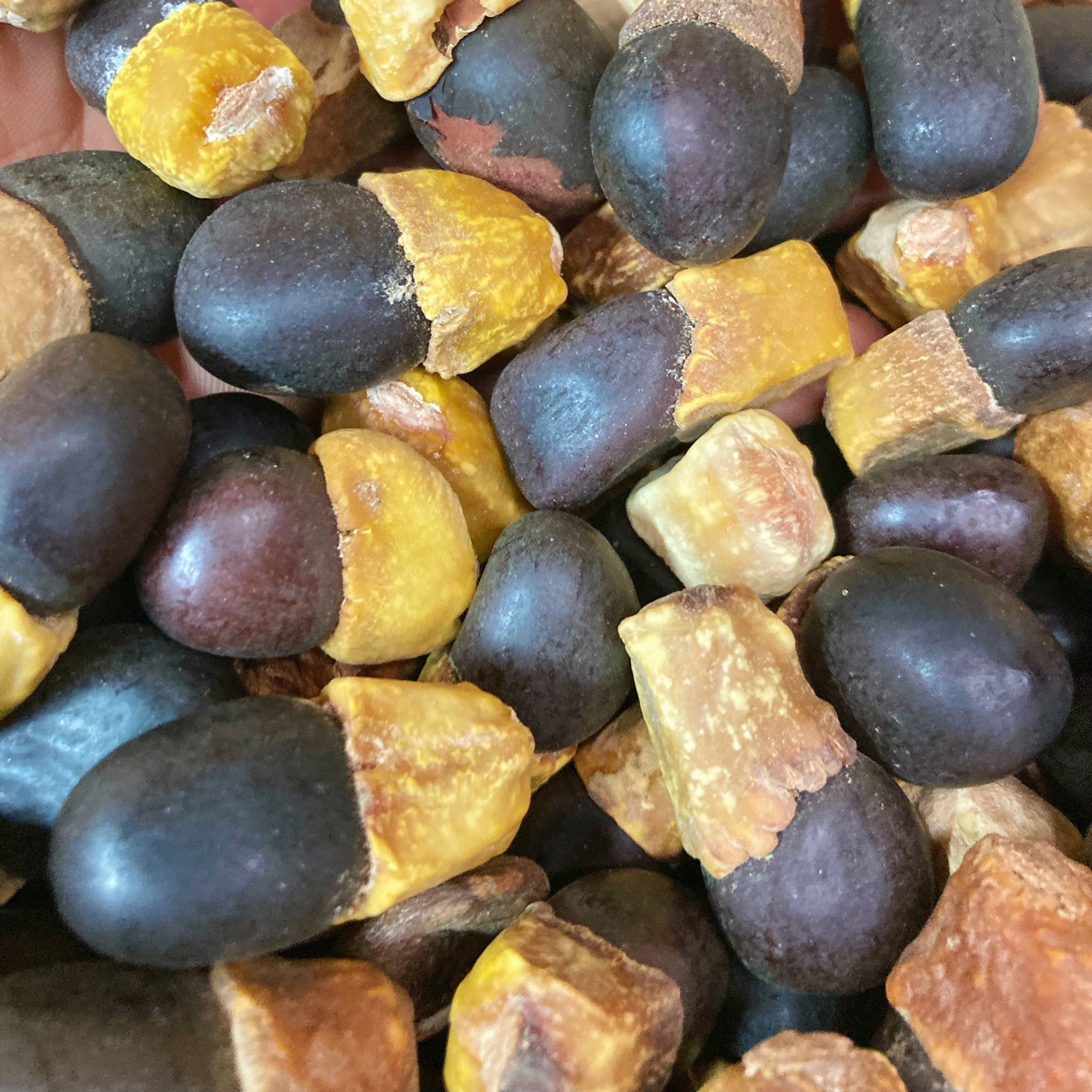 马牙果500g散装包邮缅茄菩提子阴阳果原籽地摊旅游必备