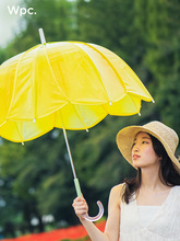 ZQ新款郁金香花瓣形状雨伞透明渐变时尚设计高颜值女生长柄雨伞