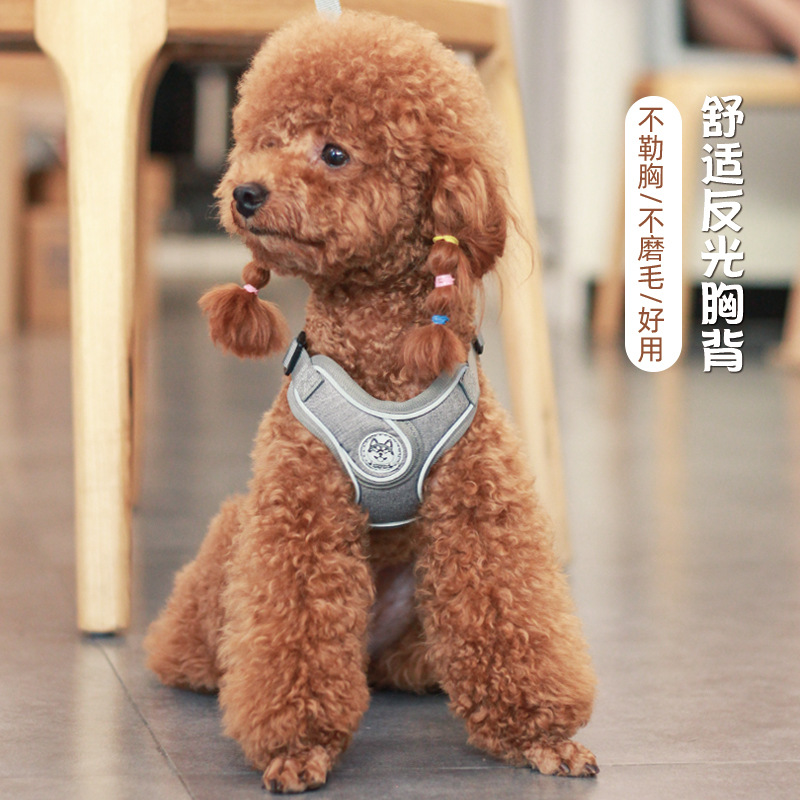 泰迪胸背柯基法斗胸背带牵中型小型犬狗背心式狗绳项圈狗狗牵引绳