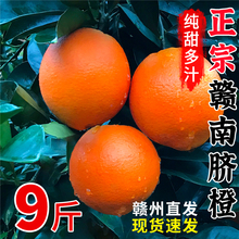 赣南脐橙10斤橙子应当季水果新鲜赣州果冻橙手剥冰糖甜橙20斤