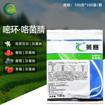 先正达莱赛 嘧环胺咯菌腈晴百合葡萄番茄西红柿灰霉病农药杀菌剂