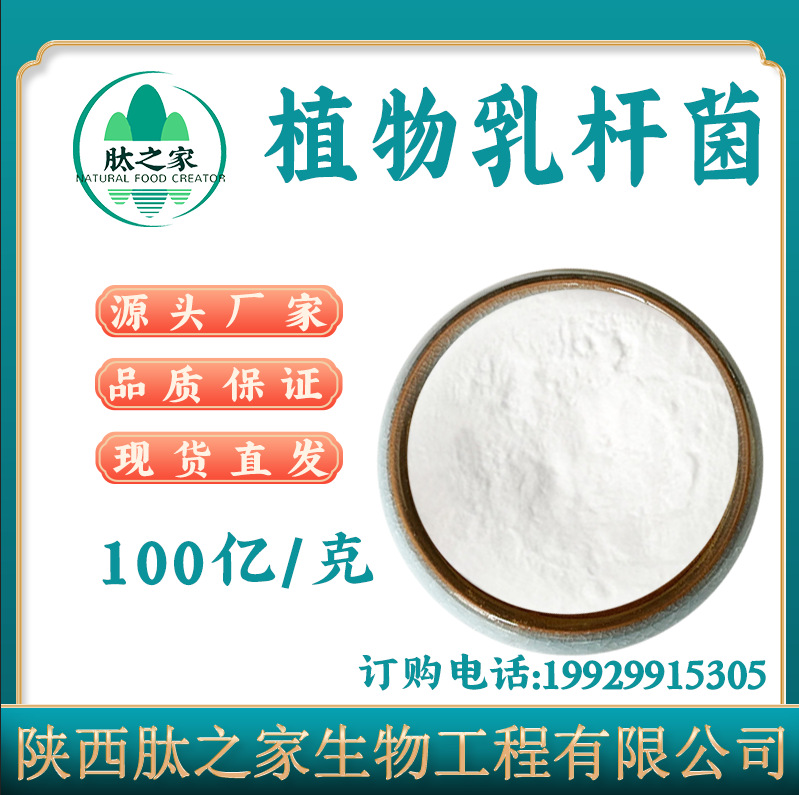 植物乳杆菌冻干粉 100亿cfu/g(本品)-5000亿cfu/g益生菌 多规格