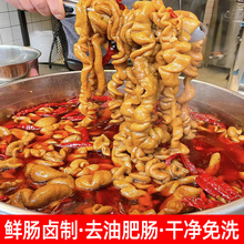 全熟肥肠批发饭店火锅食材商用免洗去油猪大肠整箱冷冻大肠食品