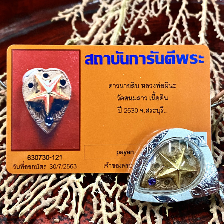 舍玛商贸2530龙婆碧纳幸运星金银双色含壳及gpra卡包邮泰国佛牌