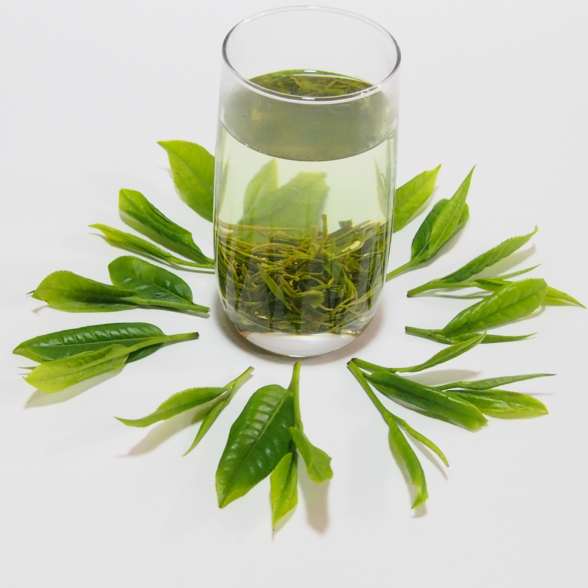 2021年新茶湄潭毛峰贵州绿茶板栗香炒青茶叶批发