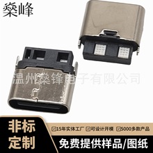 厂供应Type-C母座2pinSMT贴片四脚插板小风扇充电口连接器USB3.1