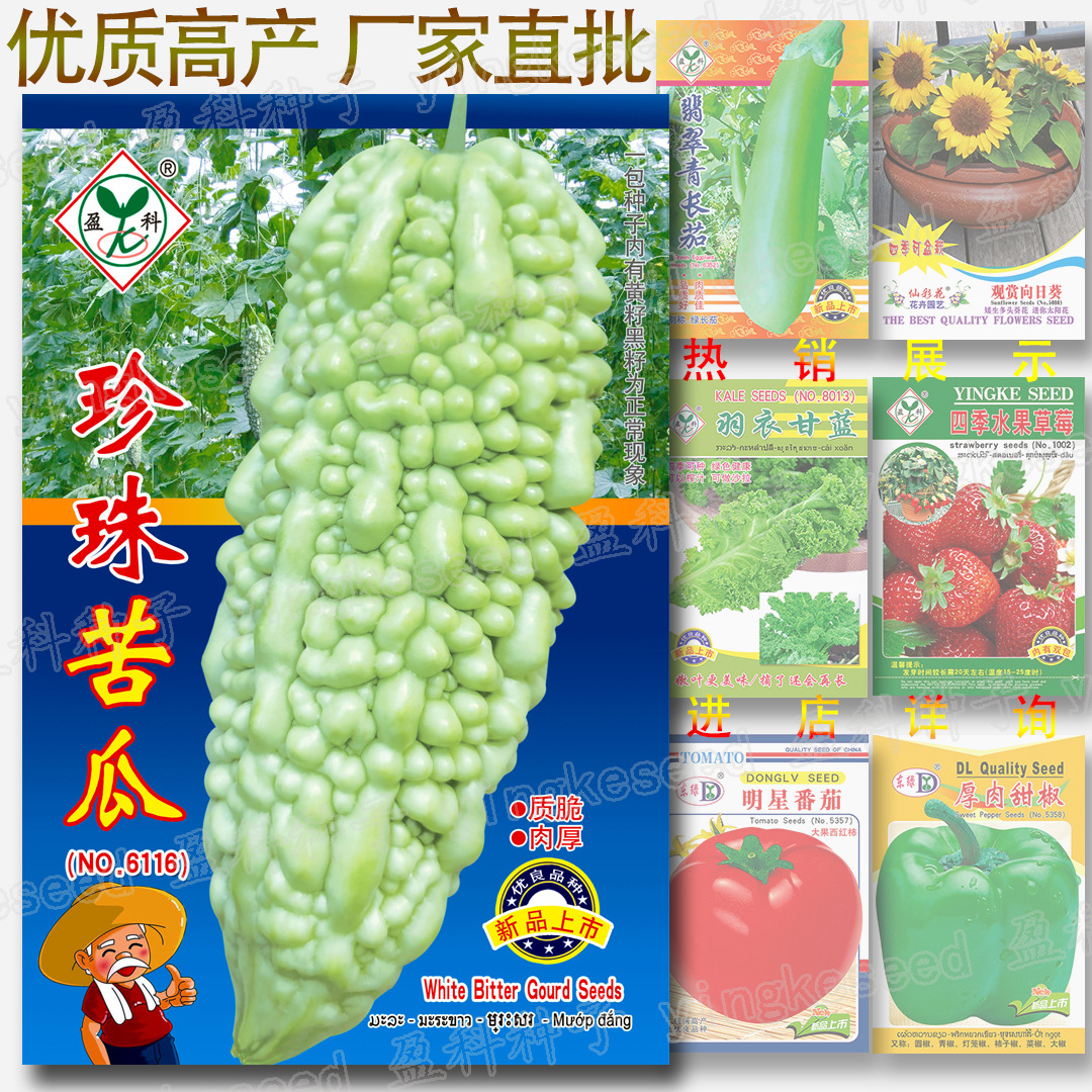 珍珠苦瓜种子 约10粒【请务必催芽】丰产早中熟厚肉质脆凉瓜种籽