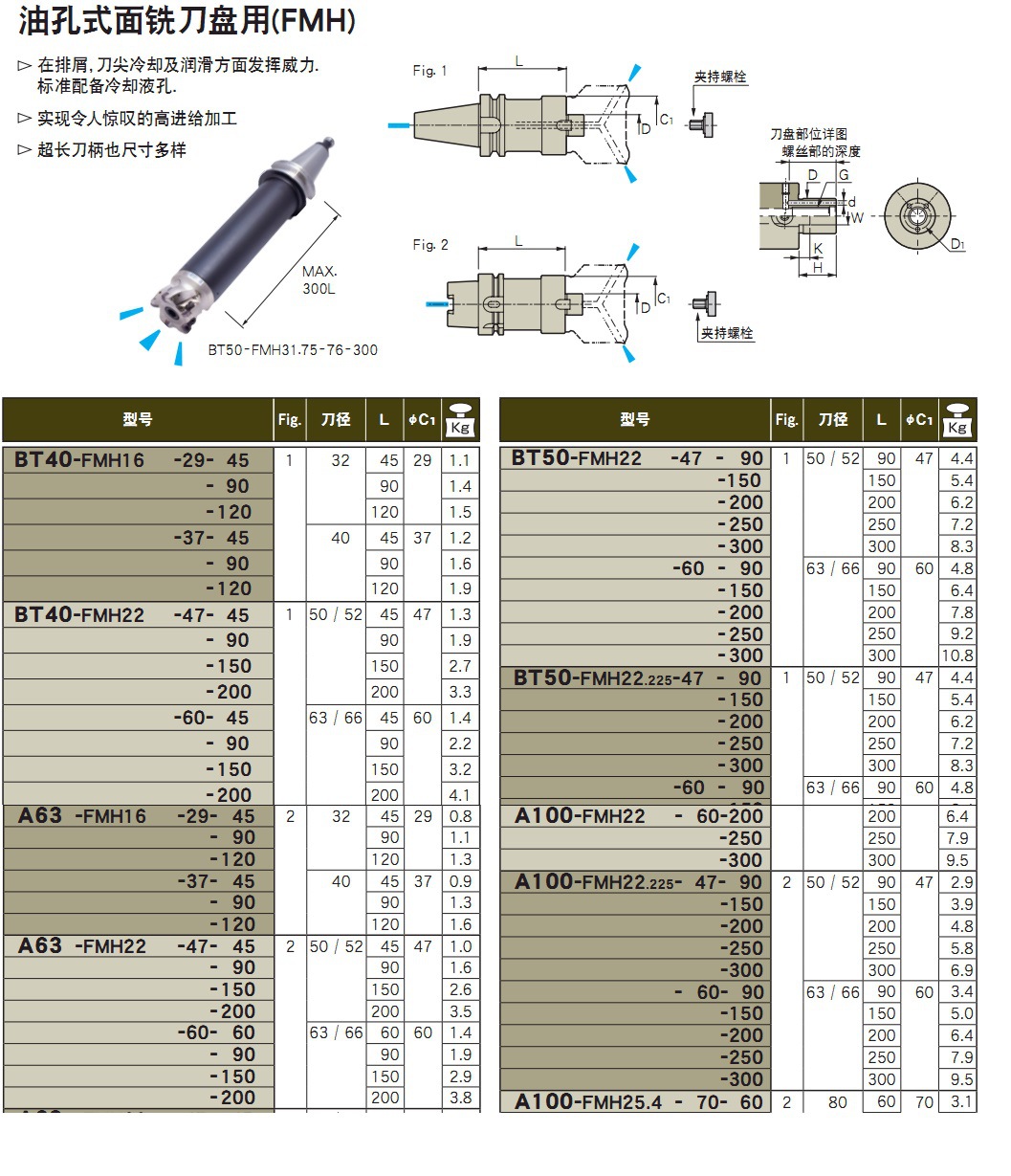 面铣刀柄hsk63a-fmh22-47-200中心出水hsk63a-fmh22-47-300