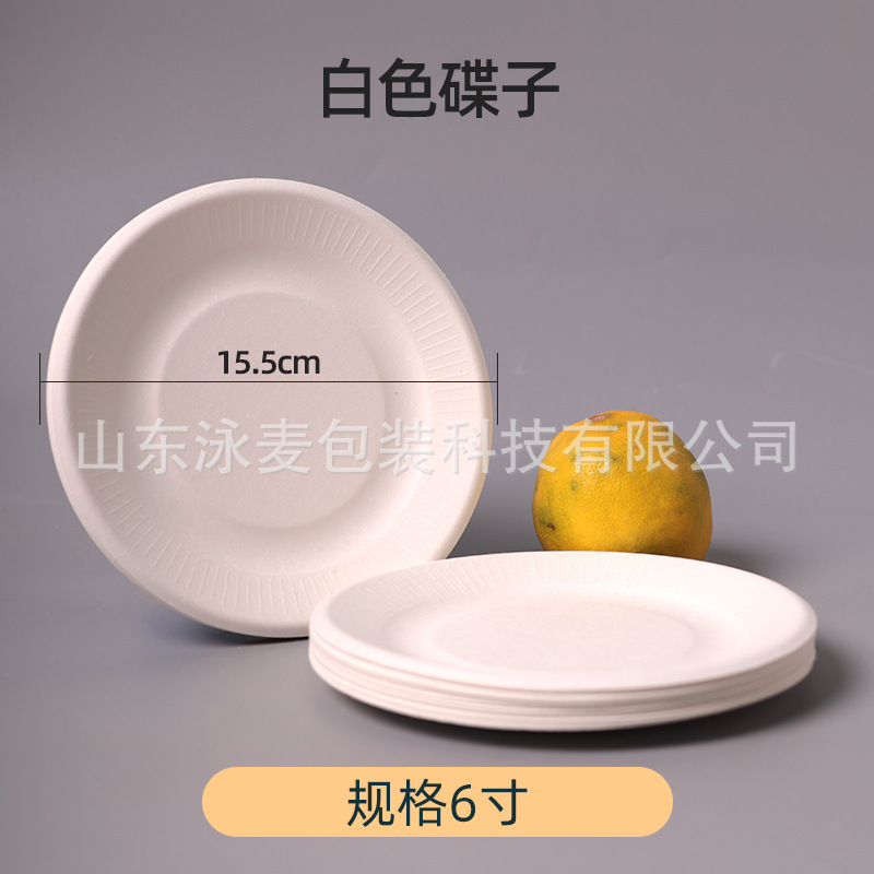 Disposable Sugarcane Pulp Paper Pallet Plate Barbecue Cake Kindergarten Drawing DIY Paper Plate Thickened Paper Pulp Plate