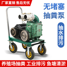 排污泵工程污水泵220V380V鱼塘泥浆农用灌溉化粪池抽粪泵厂家供应