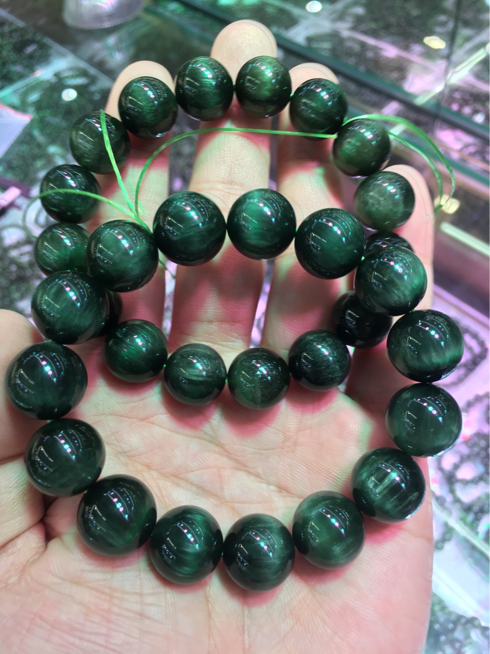 绿发晶单圈手链 顺发猫眼绿发晶手串 品相如图 无杂裂 工厂批发