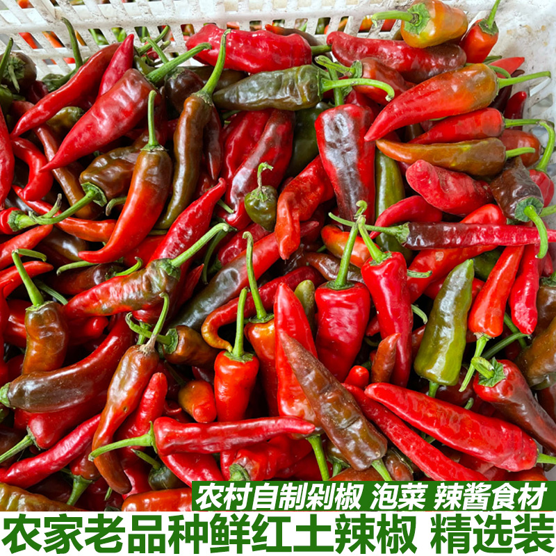 果实 蔬菜 植物 种子 800_800