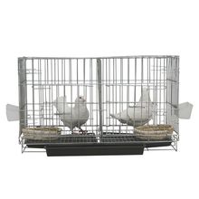 鸽子笼养殖笼家用大号特大繁殖配对鸽子笼大型不锈钢色鸽子笼鸟笼