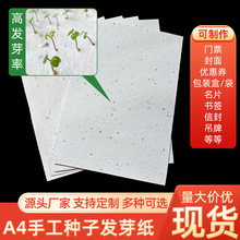 A4手工种子发芽纸现货特种纸散装种植纸300克纸空白种子纸定制