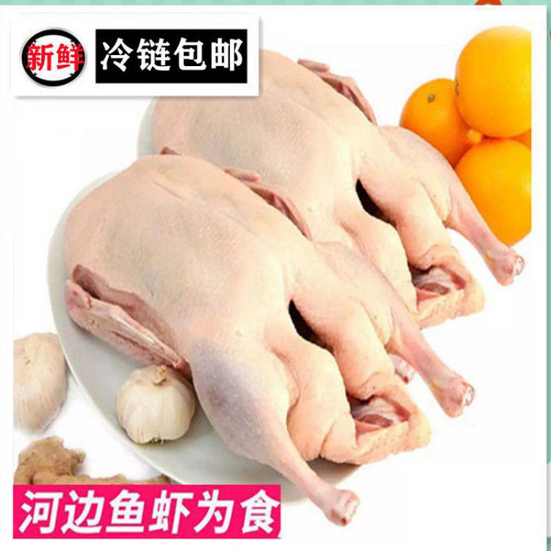 限时抢购(2只)散养土鸭白条鸭老鸭整只麻鸭鸭肉水鸭生鲜肉类-阿里巴巴
