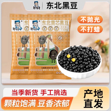 东北黄芯黑豆新货黄仁打豆浆五谷杂粮农家黑小豆