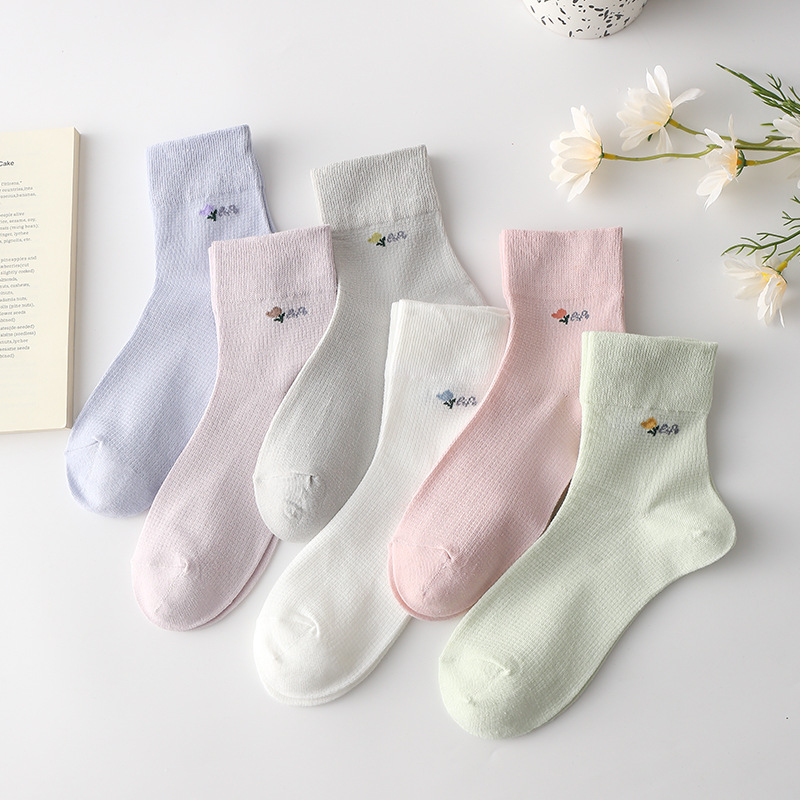 袜子女纯棉短袜春秋薄款马卡龙色棉袜简约运动防臭配帆布鞋好看