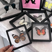 标本盒蝴蝶标本展示框制作工具套装书签昆虫压克力中空相框立体