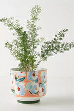 创意手彩陶瓷花瓶花盆家居摆件 创意个性多肉花盆盆栽用品礼品