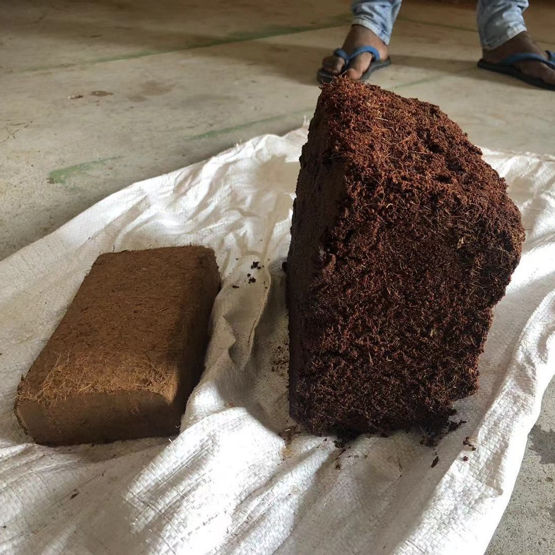 椰糠砖小椰砖小砖椰土砖有机菜栽培介质易泡发