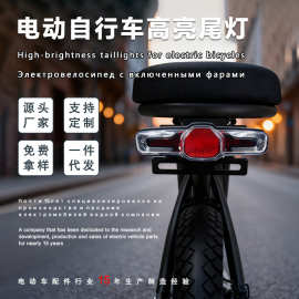 定制通用锂电自行车尾灯36V48V哈雷电动车自闪三合一led夜行警示