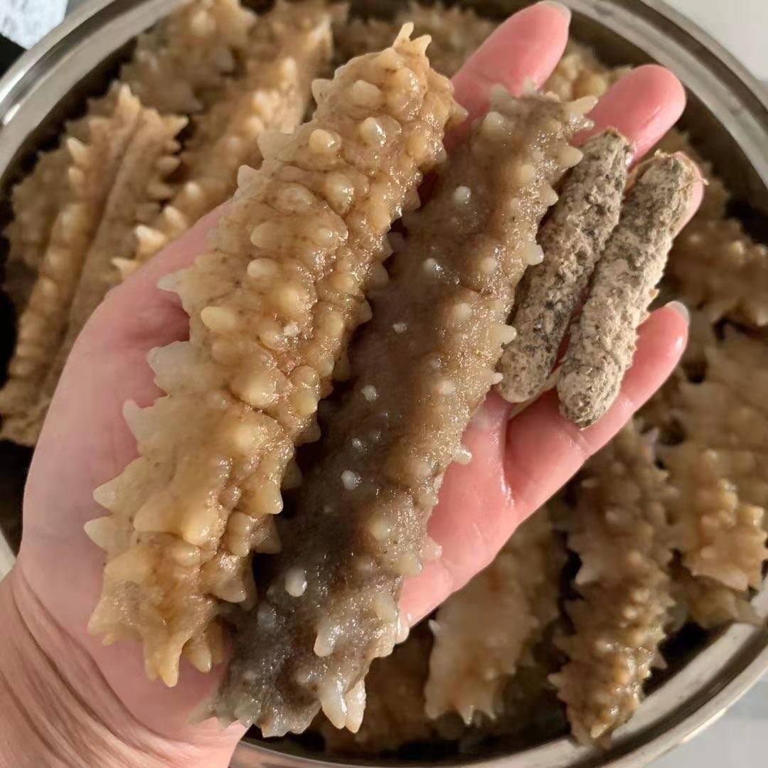 野生刺王参黄玉黄肉海参黄金刺参水产干货滋补食材250克包邮-阿里巴巴