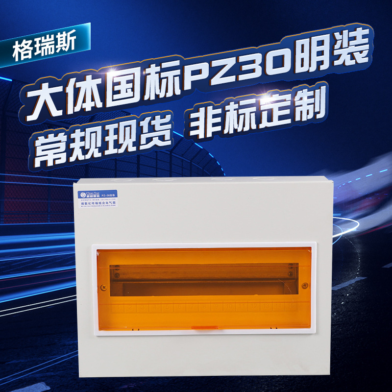 厂家供应国大体pz30配电箱 家用8-60回路箱 明装梅兰开关箱批发