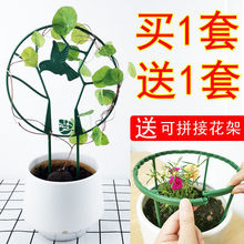 圆形绿萝山乌龟甲龙铁线莲花架爬藤架攀藤绿植支架常春藤花鸟架子