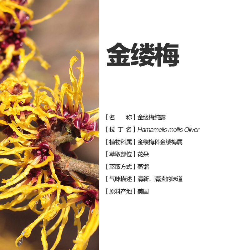 阿甘树金缕梅纯露hamamelis hydrosol(bio)