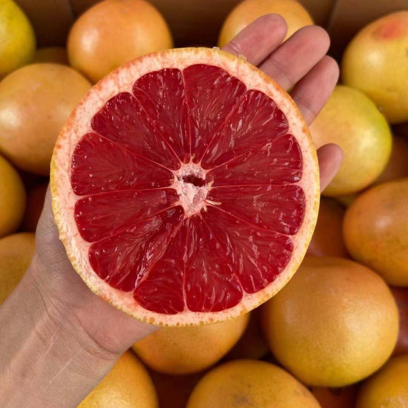 现货顺丰包邮南非红心西柚水果叶酸新鲜葡萄柚奶茶专用 图片_高清大图