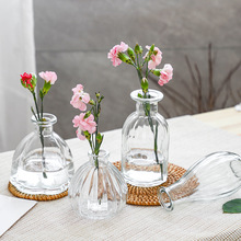 厂家批发现货工艺透明玻璃北欧款彩色花瓶一枝花客厅摆件水培空瓶