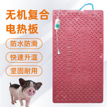猪用碳纤维电热板保温板恒温加热板兽用发热板仔猪电热板养殖专用