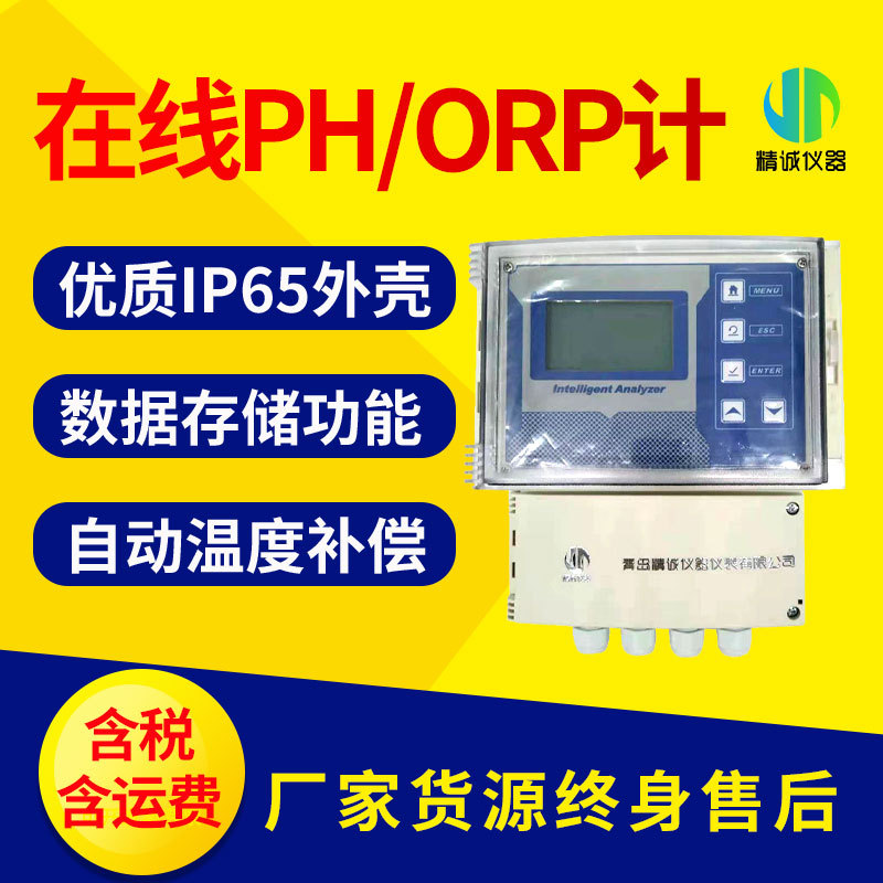 在线PH计 壁挂式在线水质PH计废水处理在线PH监测仪ORP检测仪
